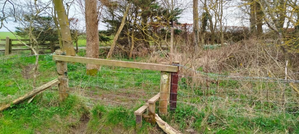 BeadnellSeahouses - BeadnellSeahouses Mar2026 JB 23