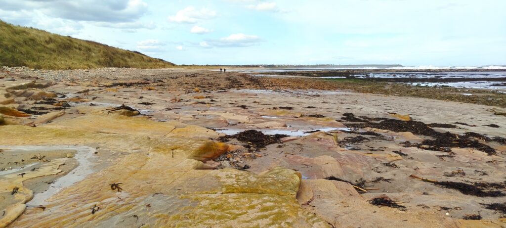 BeadnellSeahouses - BeadnellSeahouses Mar2026 JB 6
