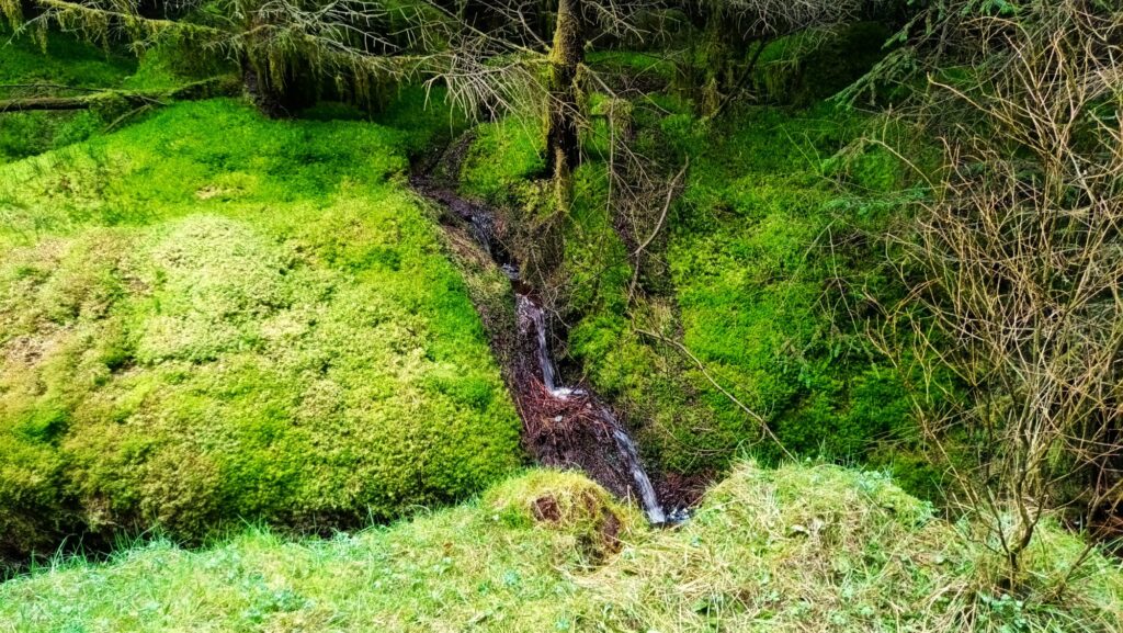 DeadwaterFell - DeadwaterFell Mar2026 M 10