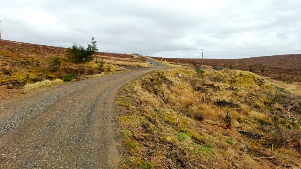 DeadwaterFell - DeadwaterFell Mar2026 M 16