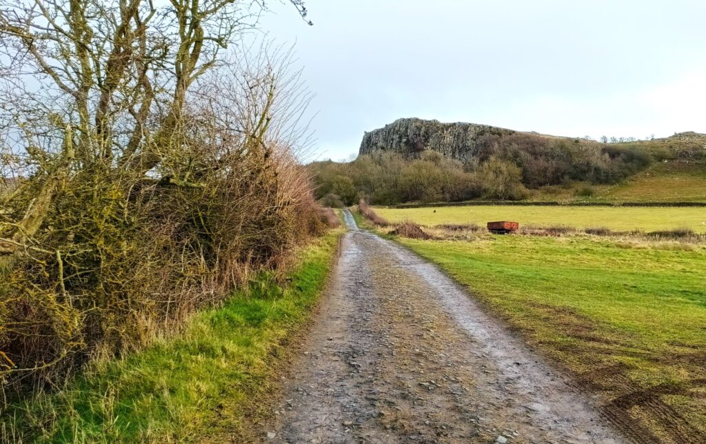 Barasford - Barasford 15