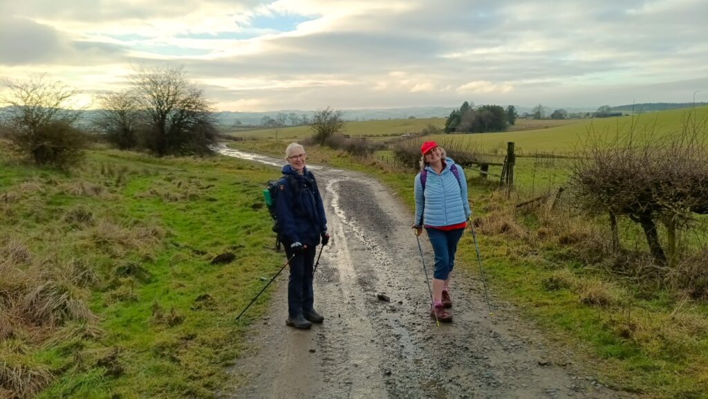 Barasford - Barasford 17