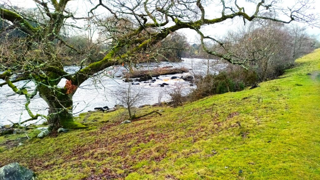 Barasford - Barasford 9