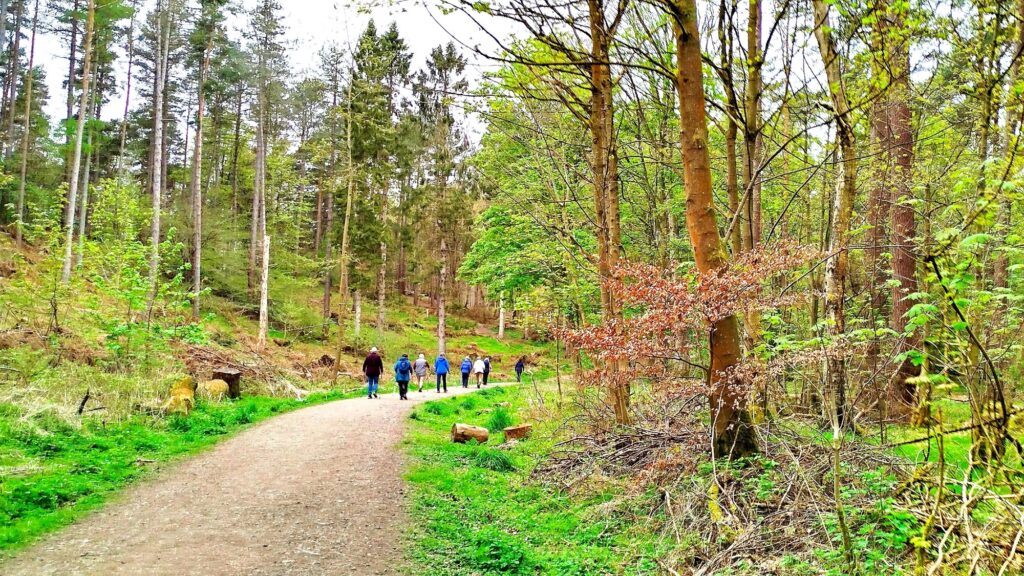 FeelGoodInTheForest - FGITF Chopwell 5