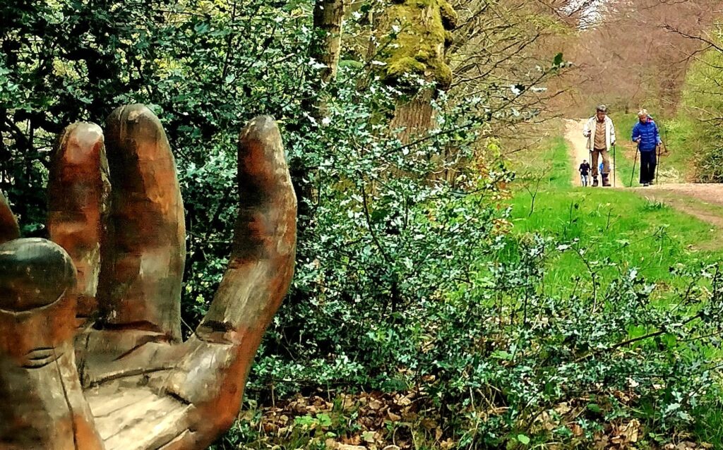 FeelGoodInTheForest - FGITF Chopwell 6