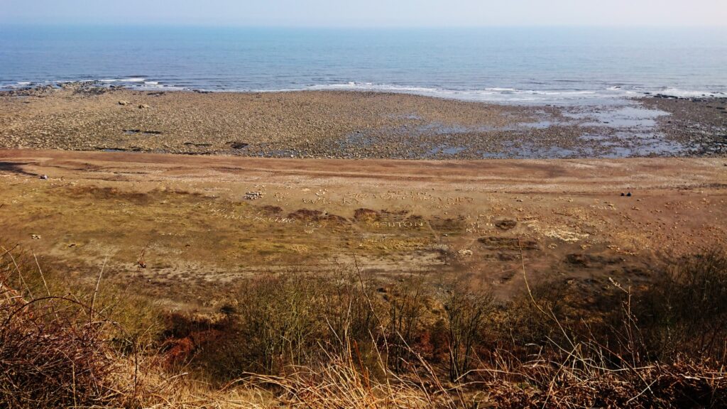 HawthornDene - HawthornRecce2022 8