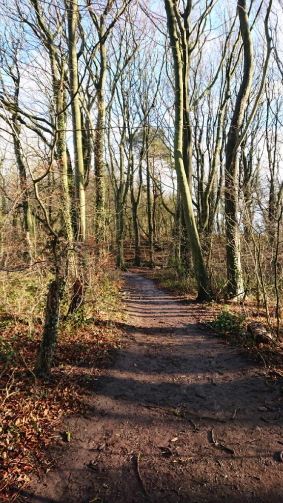 HawthornDene - HawthornWithAdele 5