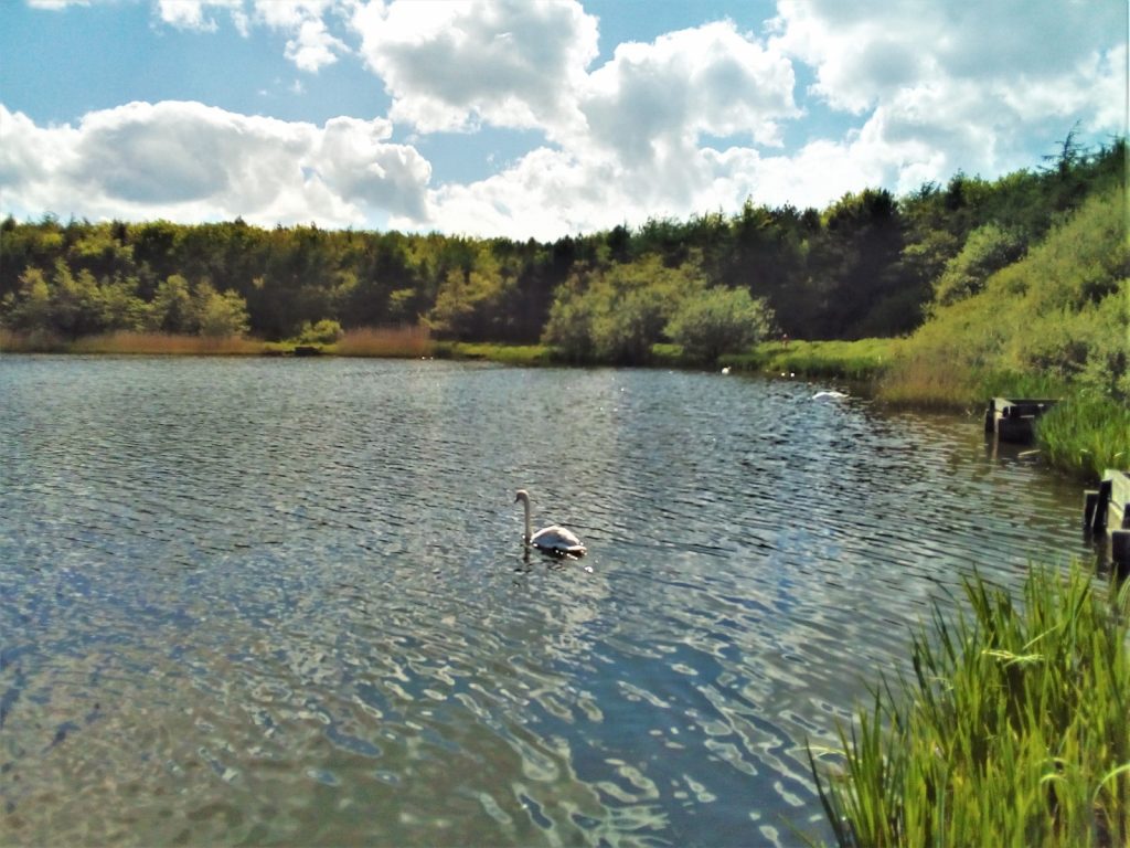 QEIICountryPark - QEIICountryPark-1 Queen Elizabeth II Country Park