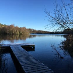 Bolam lake and Shaftoe Crags 7