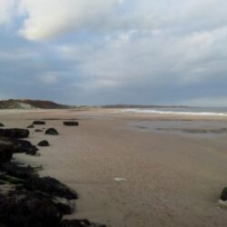 Alnmouth Beach to Boulmer- Aug 2025
