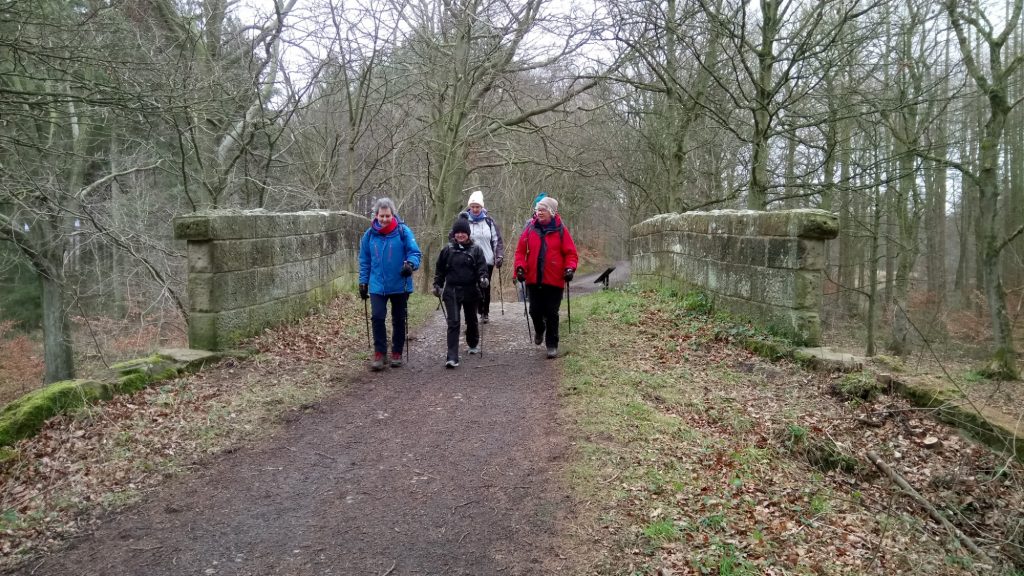 Chopwell Woods - 27th January 2019 - Strolls With Poles