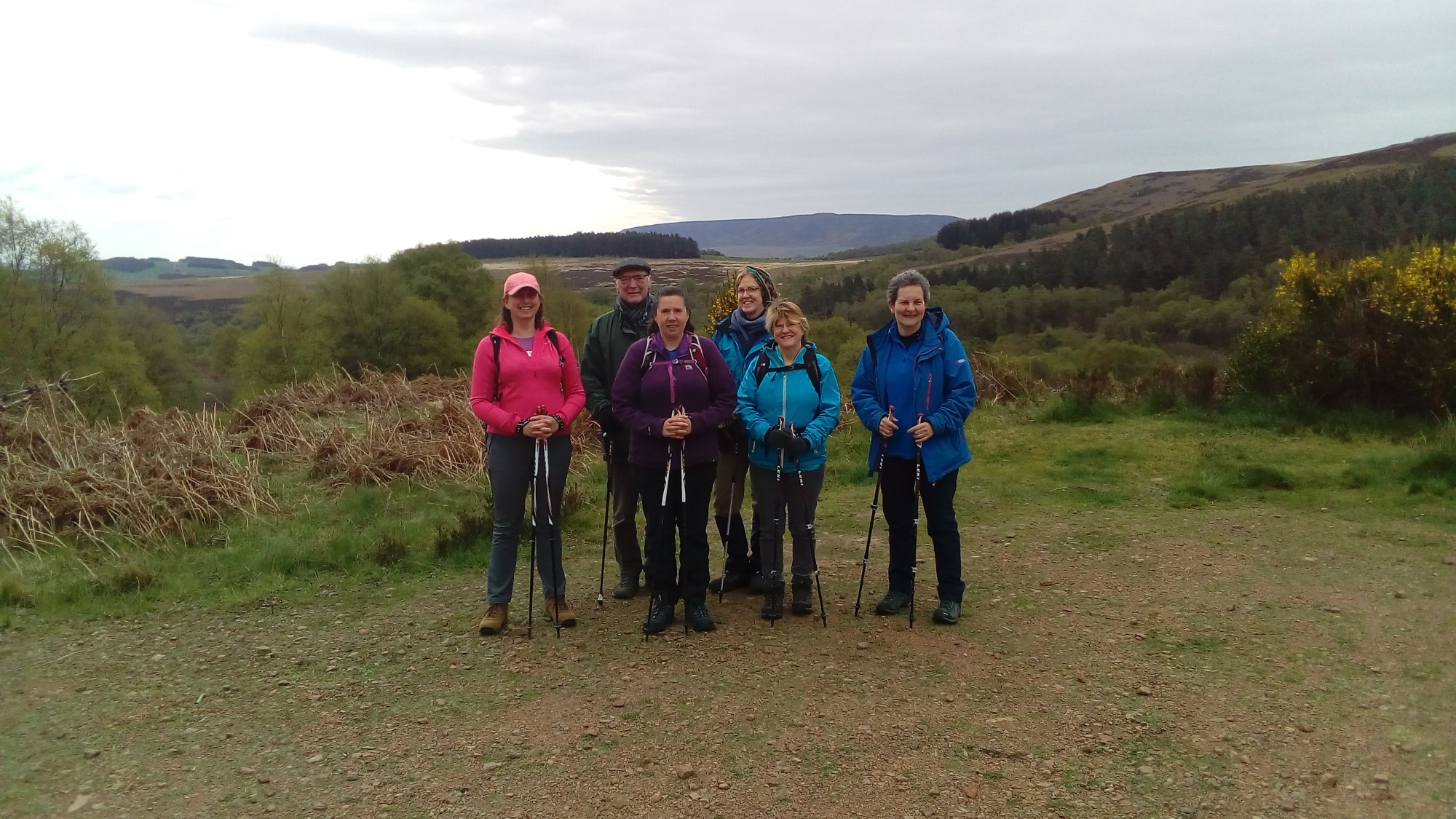 Harbottle Wood - 5th May 2019 - Strolls With Poles