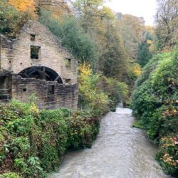 Jesmond_Dene - IMG_1012