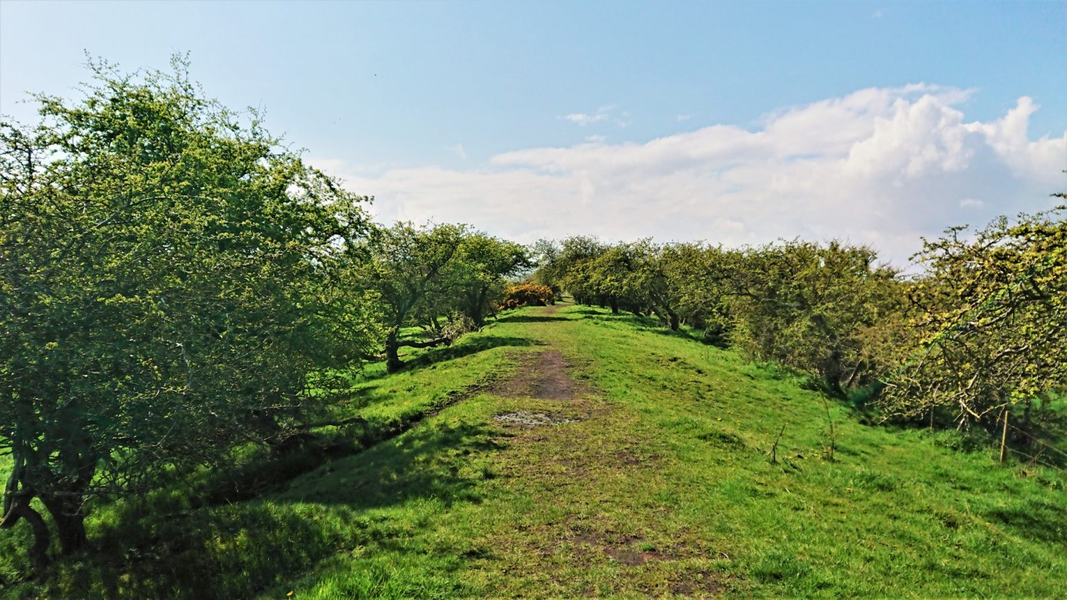 Seaton Sluice and Holywell Dene - Oct 2024 - Strolls With Poles