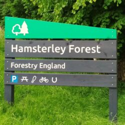 HamsterleyRecce - HamsterleyJul2024 1 Website