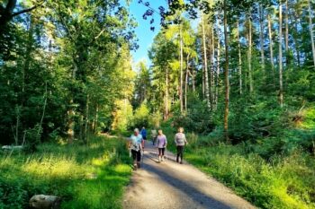 Chopwell-FeelGoodInForest - ChopwellEveningJul2025 1