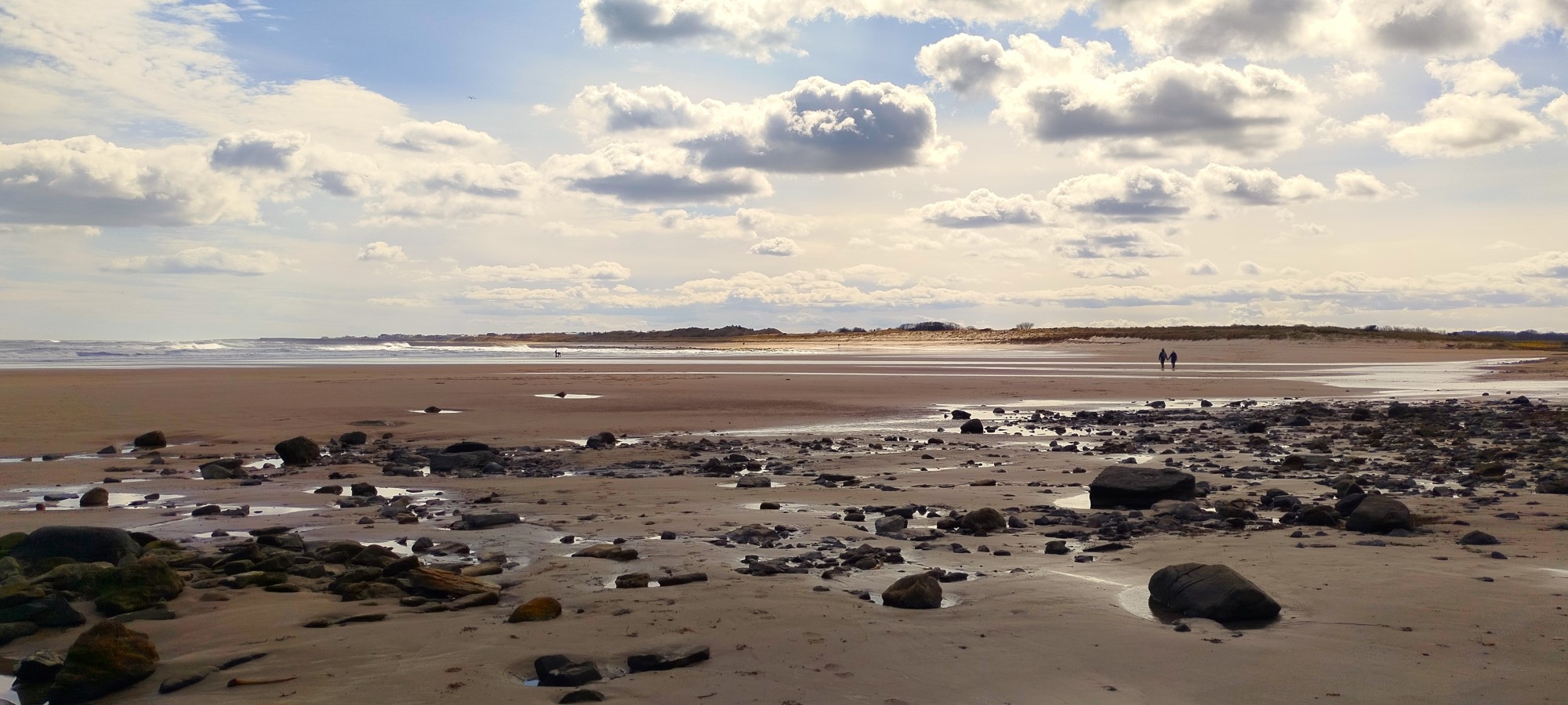 BeadnellSeahouses - BeadnellSeahouses Mar2026 JB 12