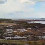 BeadnellSeahouses - BeadnellSeahouses Mar2026 JB 15