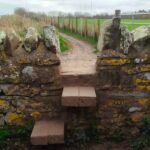 BeadnellSeahouses - BeadnellSeahouses Mar2026 JB 18