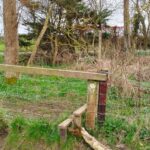 BeadnellSeahouses - BeadnellSeahouses Mar2026 JB 23