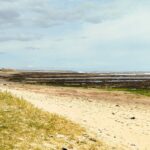 BeadnellSeahouses - BeadnellSeahouses Mar2026 JB 5