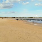 BeadnellSeahouses - BeadnellSeahouses Mar2026 JB 7