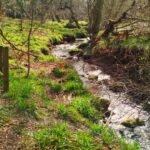 FordMoss - FordMoss Mar2026 JB 10