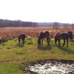 FordMoss - FordMoss Mar2026 JB 12