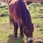 FordMoss - FordMoss Mar2026 JB 13