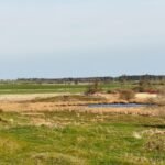 FordMoss - FordMoss Mar2026 JB 16