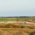 FordMoss - FordMoss Mar2026 JB 18