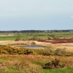 FordMoss - FordMoss Mar2026 JB 19
