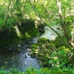GrosmontGoathland - Julie GrosmontGoathland 8