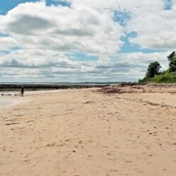 AlnmouthFoxton - AlnmouthFoxtonRecce-Jun2021-11-FB