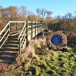 AlnwickRiverWalk - AlnwickRiverWalk-Jan2022-3