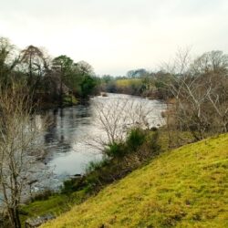 Barasford - Barasford 10