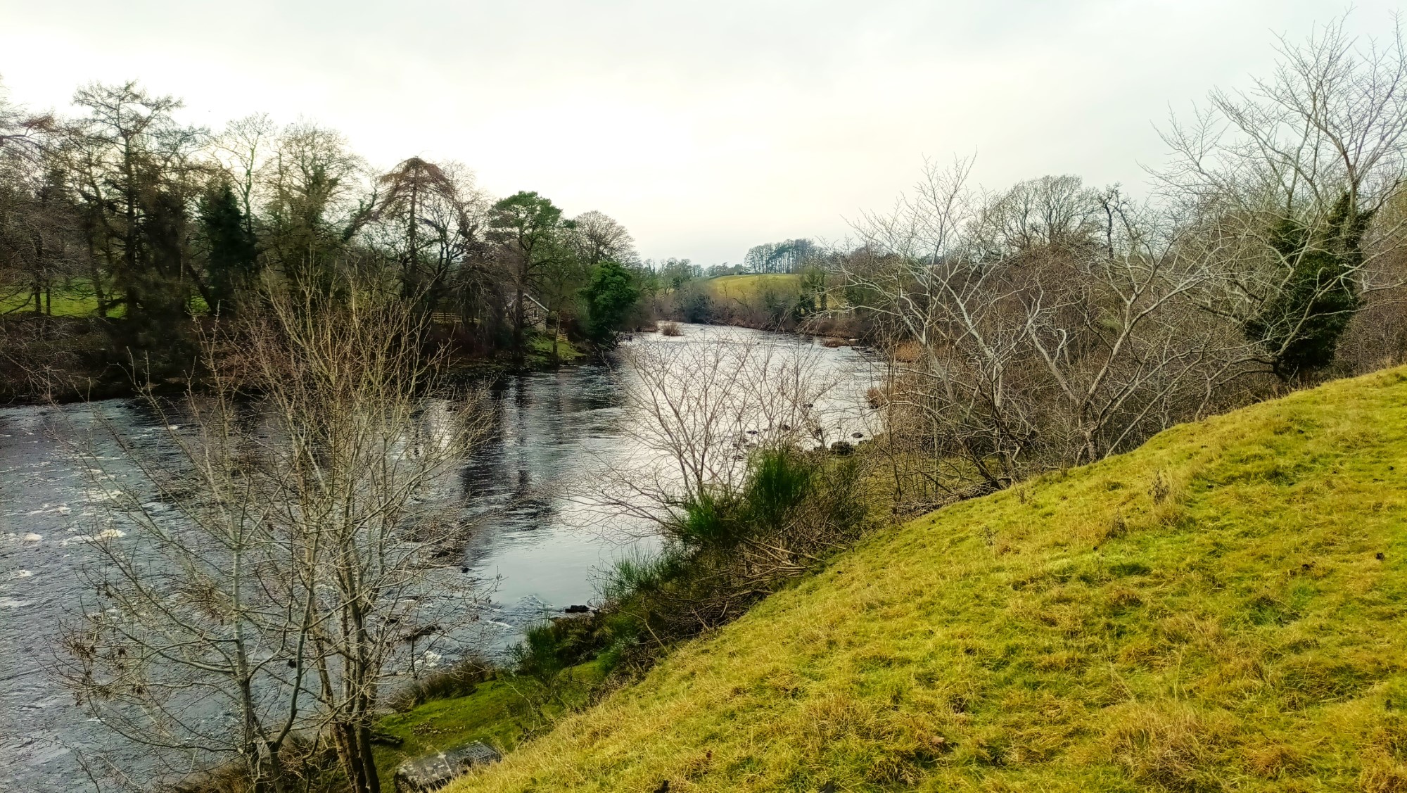 Barasford - Barasford 10