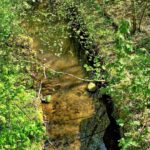CastleEdenDene - CastleEdenDeneRecceJun2025 16