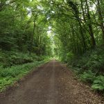 Derwent Walk Country Park - Strolls With Poles - Nordic Walking