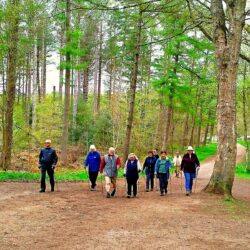 FeelGoodInTheForest - FGITF Chopwell 2