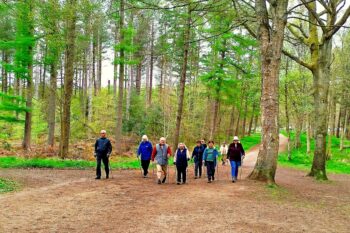 FeelGoodInTheForest - FGITF Chopwell 2