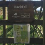 Hackfall - Hackfall2_11042019MH-1.jpg