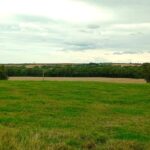 HawthornDene - HawthornDeneRecceJul2025 4