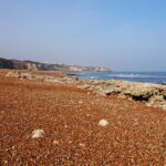 HawthornDene - HawthornRecce2022 5