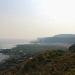 HawthornDene - HawthornRecce2022 7
