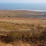 HawthornDene - HawthornRecce2022 8