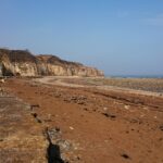 HawthornDene - HawthornRecce2022 9