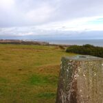 HawthornDene - HawthornWithAdele 1