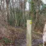HawthornDene - HawthornWithAdele 2