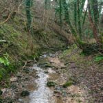 HawthornDene - HawthornWithAdele 3